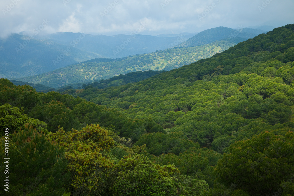 Parque Natural Sierra de Andújar, Jaen, Andalucía, España Parque Natural Sierra de Andújar, Jaen, Andalucía, España