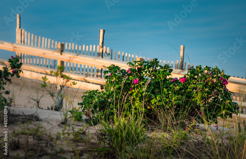 Entrance to the beach at Coral Street in Beach Haven, NJ