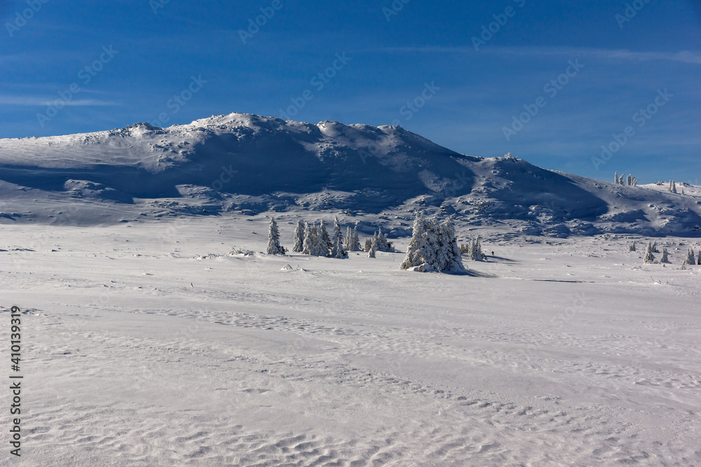 Winter view of Platoto region at Vitosha Mountain, Bulgaria