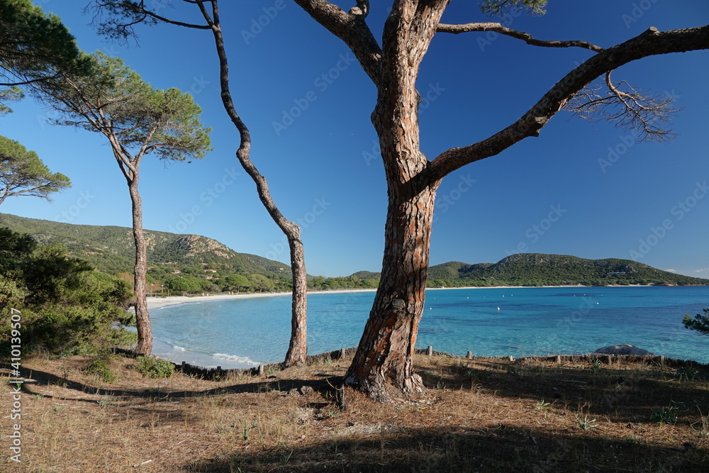 Plage de Palombaggia en Corse du Sud