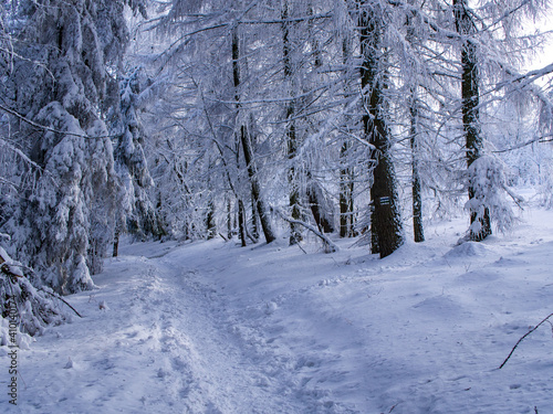 Photo of the tourist trail in winter