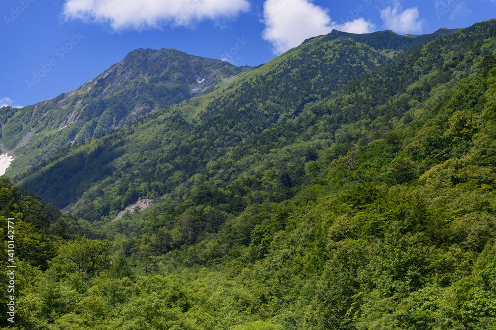Fototapeta premium 広河原から見た北岳