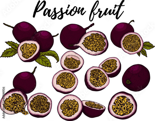 Vector hand drawn set of passion fruits. Delicious tropical vegetarian objects. Use for menu, market, store