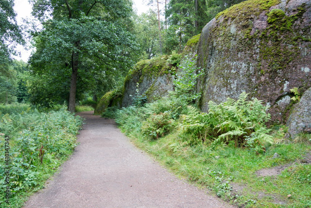 park paths among stones and forest park paths among stones and forest