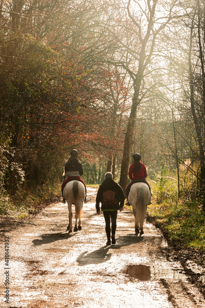 Naklejka premium young woman in horse riding