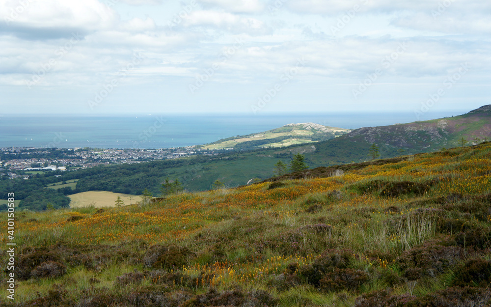 Landscapes of Ireland. View from the foot of the Great Sugar Loaf Mountain.
