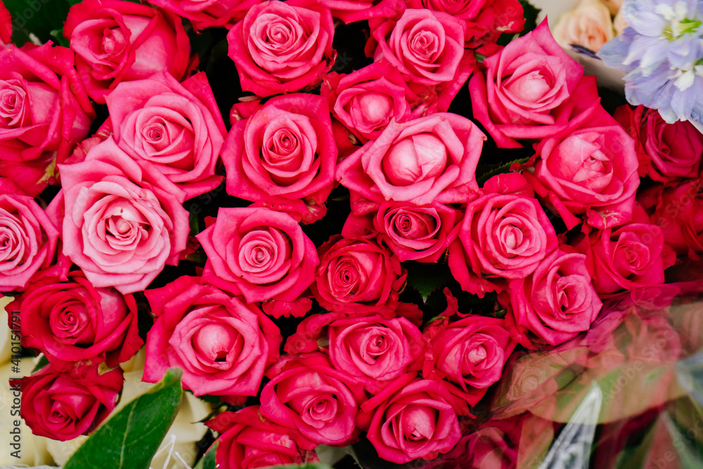 bright roses in a bouquet. Flowers are a traditional beautiful gift bright roses in a bouquet. Flowers are a traditional beautiful gift