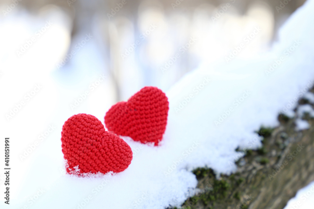 Valentine hearts on the snow in sunlight. Two red knitted symbols of romantic love on a branch in winter forest, background for holiday