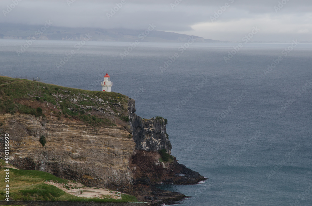 Cliff and lighthouse in Taiaroa Head Wildlife Reserve. Otago Peninsula. Otago. South Island. New Zealand.