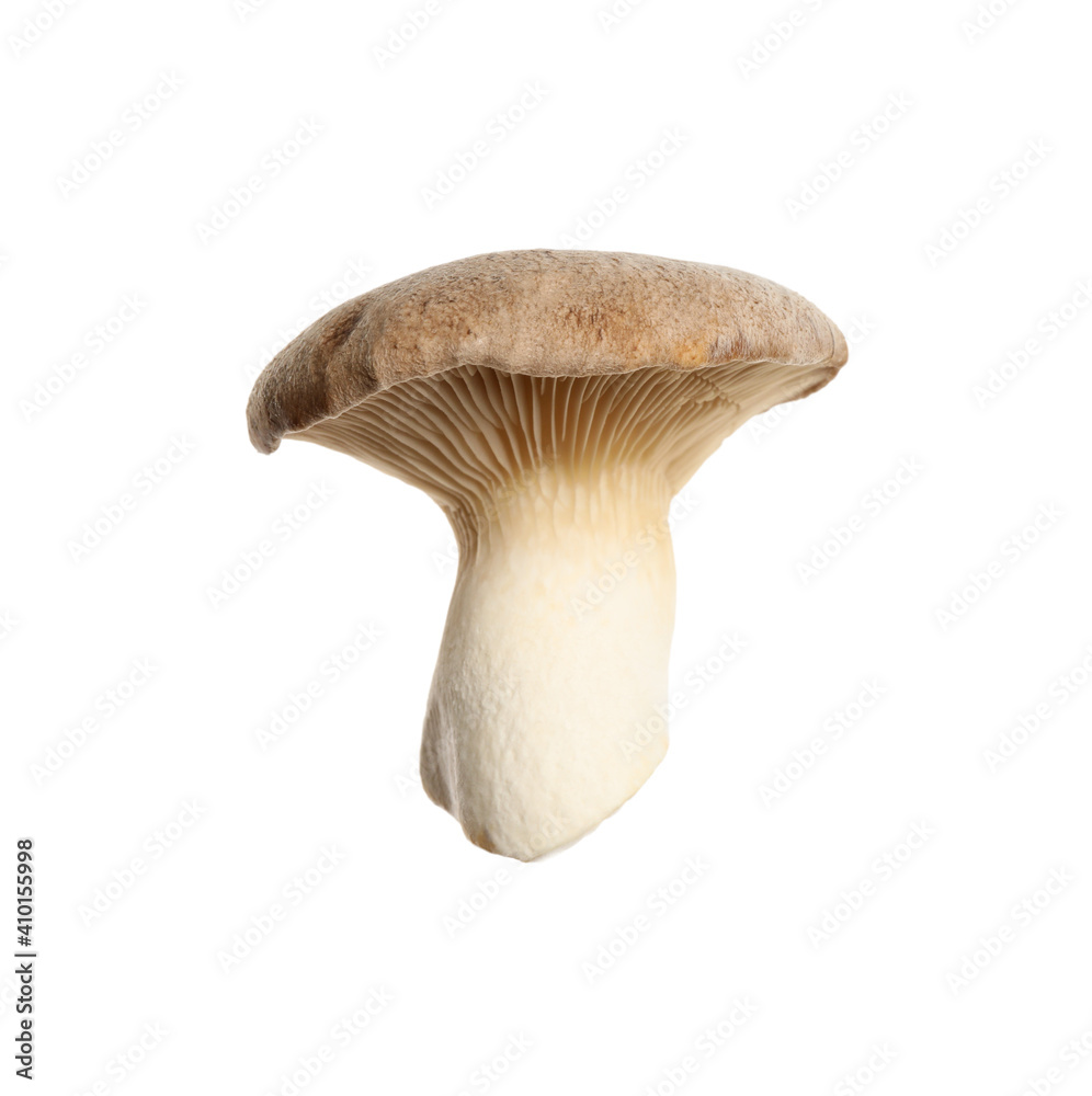 Fresh king trumpet mushroom isolated on white Fresh king trumpet mushroom isolated on white