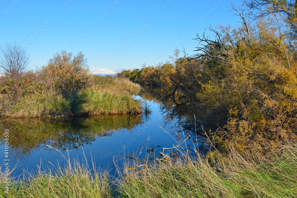 Winter in the wetland lagoon area near Grado, Friuli-Venezia Giulia, north east Italy
