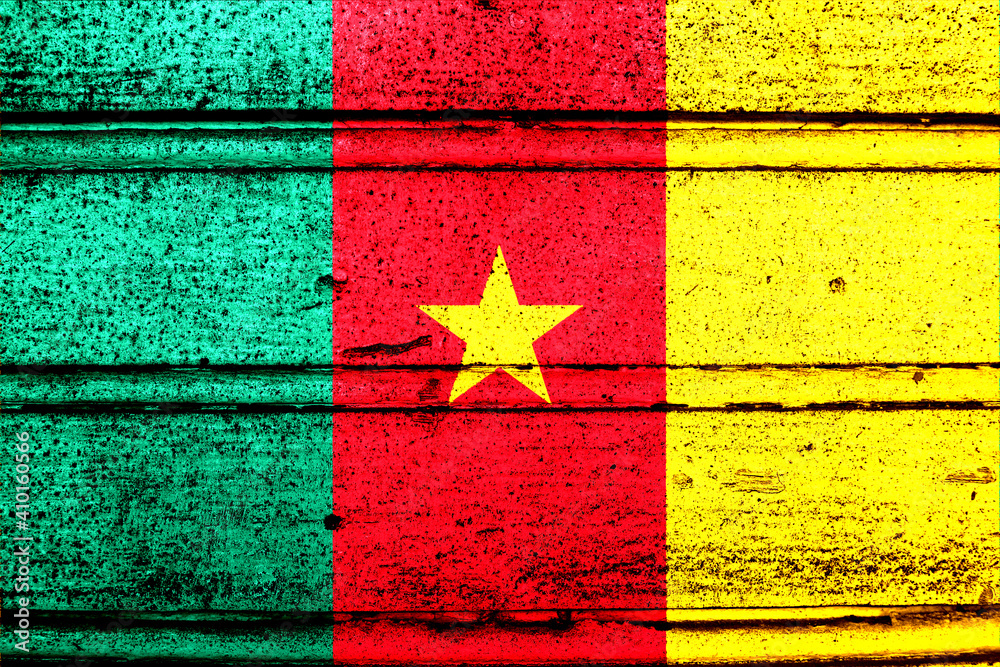 National flag of Cameroon, abbreviated with cm; a realistic 3d image of the national symbol from an independent country painted on a wooden wall