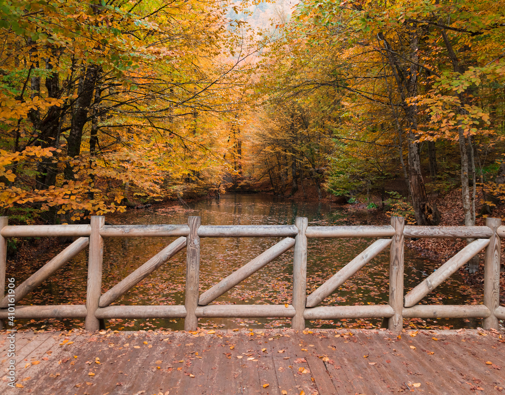 Autumn forest landscape reflection on the water with wooden pier - Autumn landscape in (seven lakes) Yedigoller Park Bolu, Turkey Autumn forest landscape reflection on the water with wooden pier - Autumn landscape in (seven lakes) Yedigoller Park Bolu, Turkey