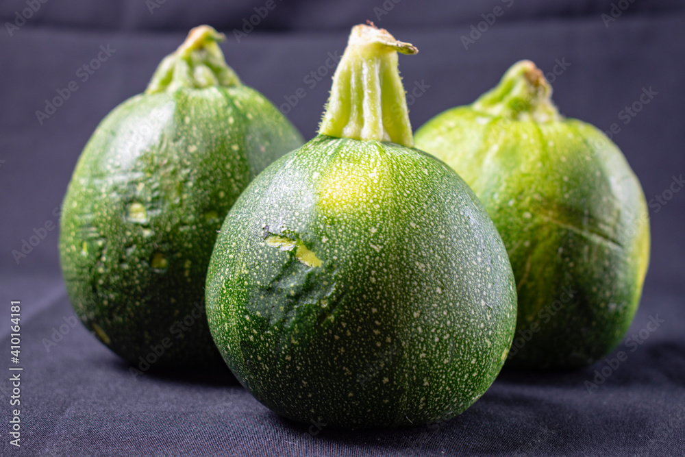 round italian squash on black background round italian squash on black background