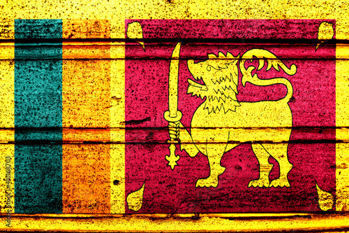 National flag of Sri Lanka, abbreviated with lk; a realistic 3d image of the national symbol from an independent country painted on a wooden wall