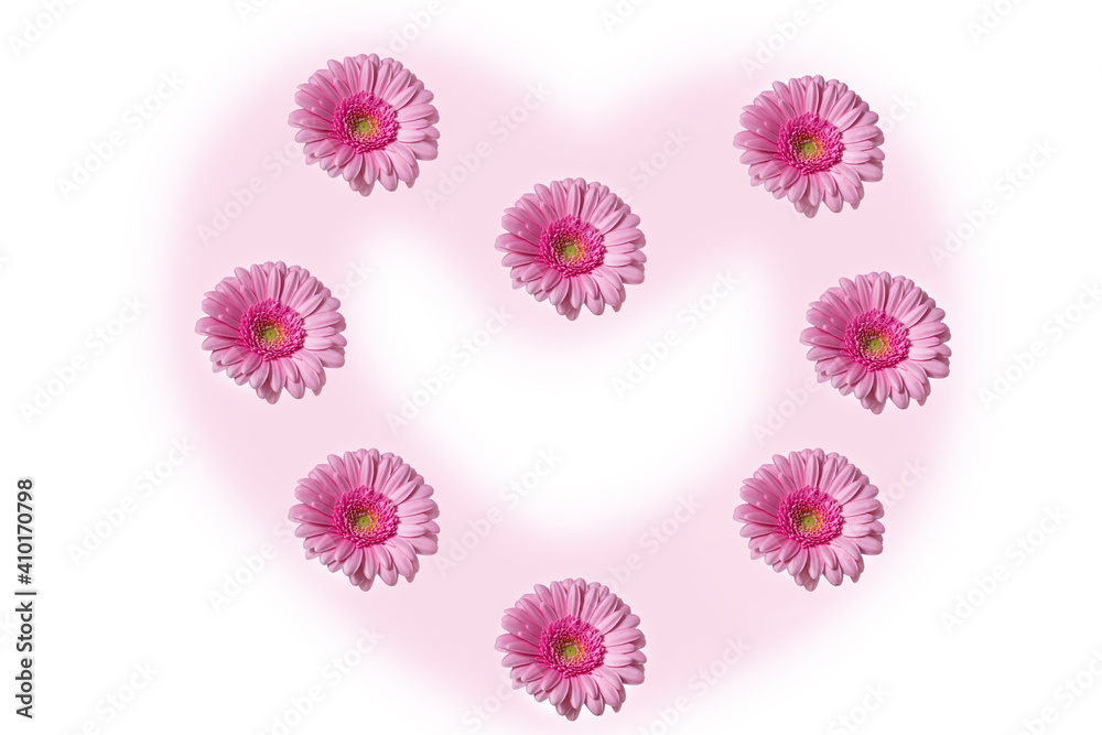 Pink gerbera flower stacked in a heart shape on a white background. There is a white area in the middle. Pink gerbera flower stacked in a heart shape on a white background. There is a white area in the middle.