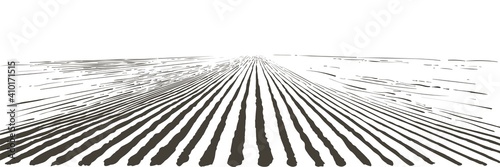 Vector farm field landscape. Furrows pattern in a plowed prepared for crops planting. Vintage realistic engraving sketch illustration.