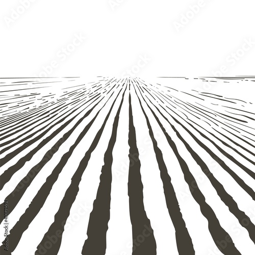 Vector farm field landscape. Furrows pattern in a plowed prepared for crops planting. Vintage realistic engraving sketch illustration.