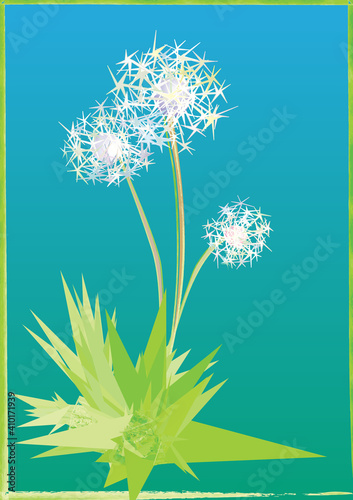 Bouquet of dandelions with leaves