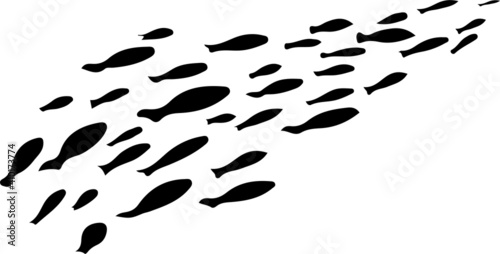 school of fish vector isolated on background