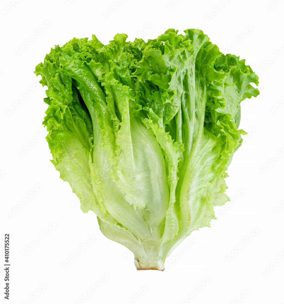 Lettuce leaf isolated on white background ,Green leaves pattern ,Salad ingredient Lettuce leaf isolated on white background ,Green leaves pattern ,Salad ingredient