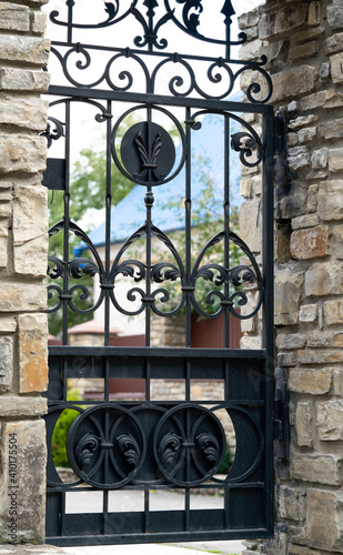 Wrought-iron door, ornamental forging, forged elements close-up.