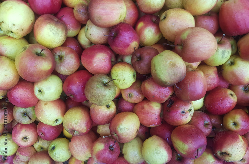 Äpfel Äpfel