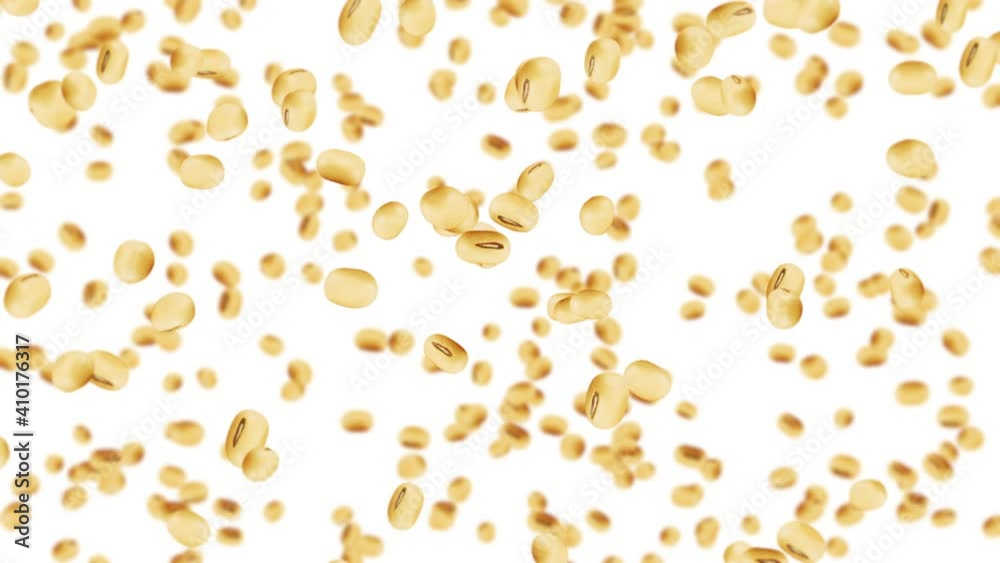 Flying many soybeans on white background. Light brown grains. Soya bean and soja. Healthy food. 3D loop animation of soy beans rotating.