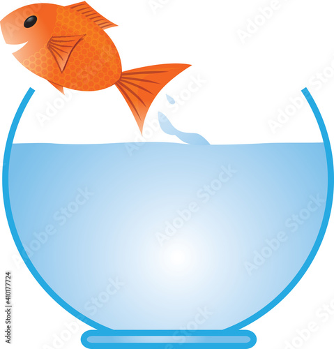 POISSON ROUGE QUI SAUTE DU BOCAL