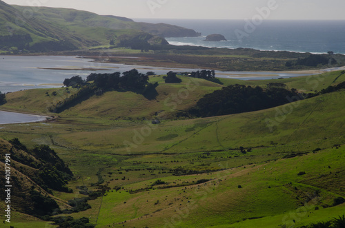 Landscape in Otago Peninsula. Otago. South Island. New Zealand.