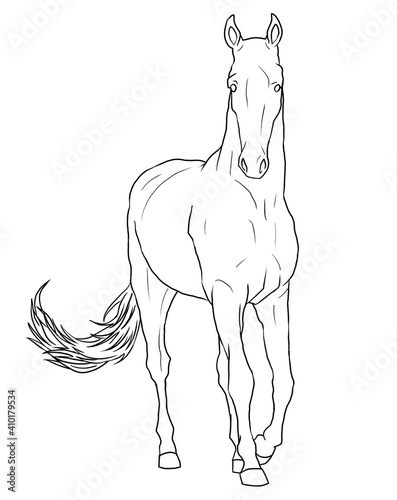 muscular house horse linear drawing. animal in motion picture. design of a booklet  flyer  invitation to an exhibition of animals  riding horses. template  clipart  doodle for antistress coloring book