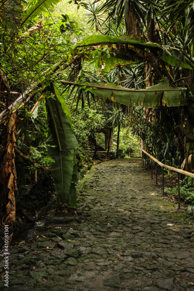 Fototapeta premium paisaje hermoso 