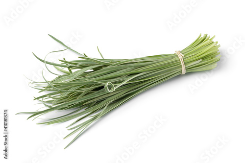 Single bunch of fresh wild garlic isolated on white background photo