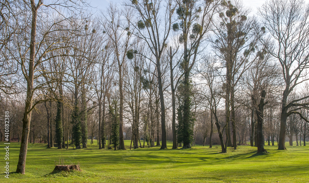 Golfplatz im Herbst Schloss Myllendonk