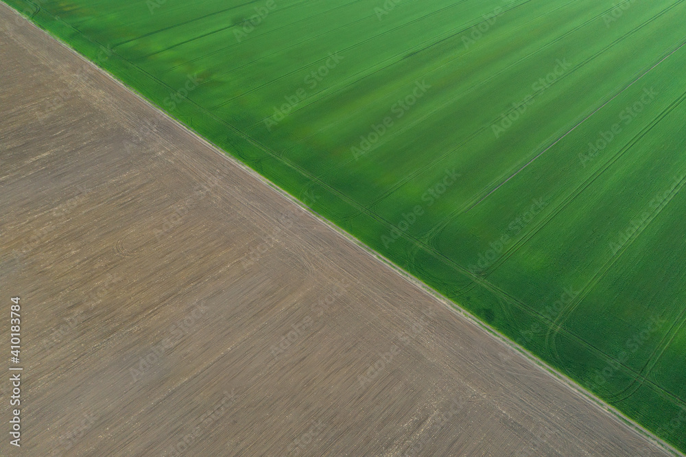 Aerial viiew with green wheat fields in spring time. Nature background.