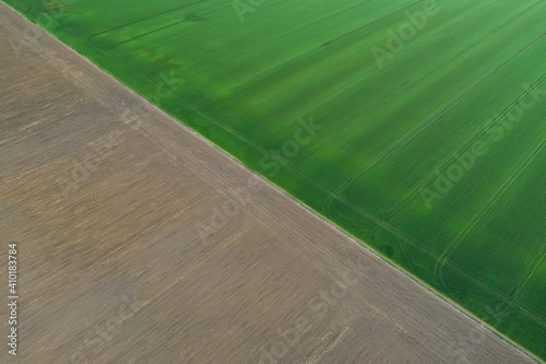Aerial viiew with green wheat fields in spring time. Nature background.