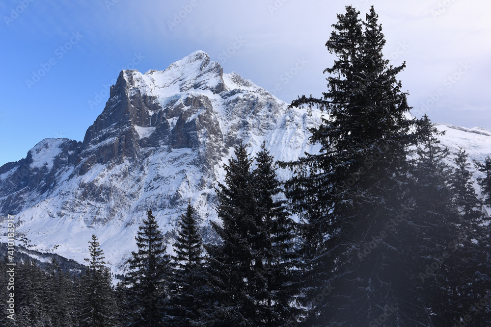 Wetterhorn, Berneroberland, Winterlandschaft, Grindelwald Wetterhorn, Berneroberland, Winterlandschaft, Grindelwald