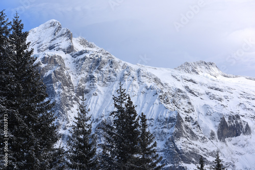 Wetterhorn, Grindelwald, Berneroberland, Winterlandschaft