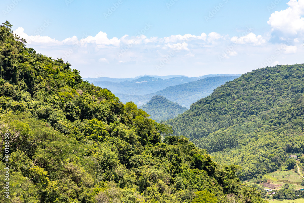 Forest over mountain, valley and farm plantation Forest over mountain, valley and farm plantation