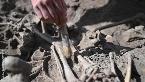 An archaeologist sweeps dust off human remains during archaeological excavations. photo