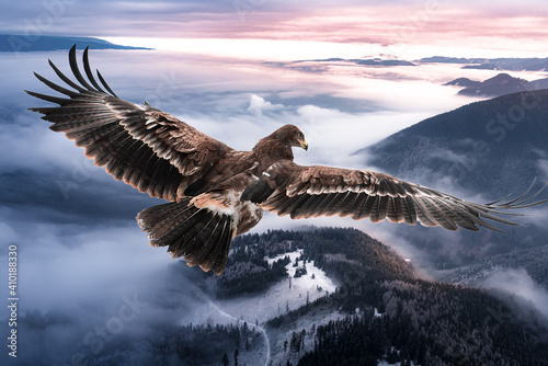 An eagle flies over the frozen mountains at beautiful dawn. 
Steppe eagle (Aquila nipalensis) photo