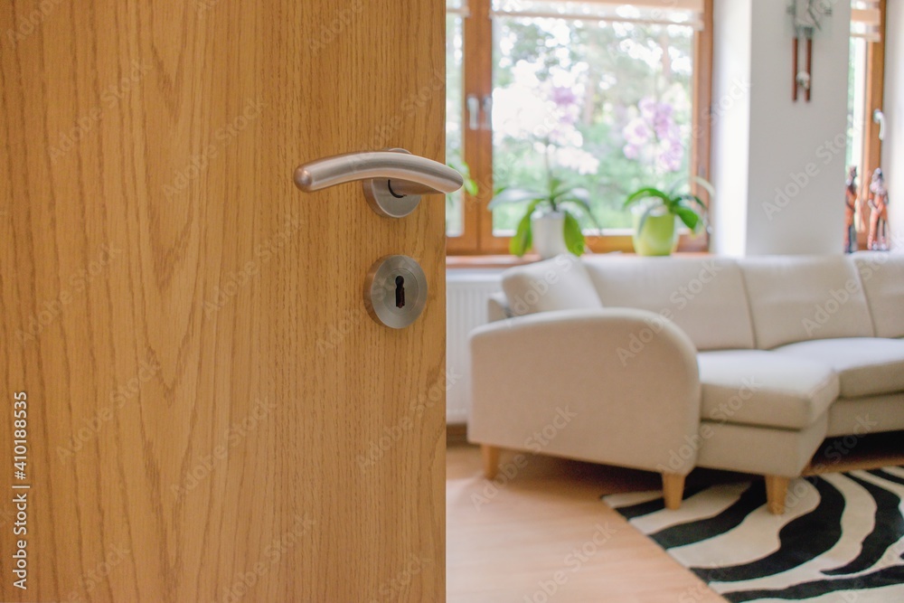 Half opened door into the modern cozy home interior Stock Photo Adobe