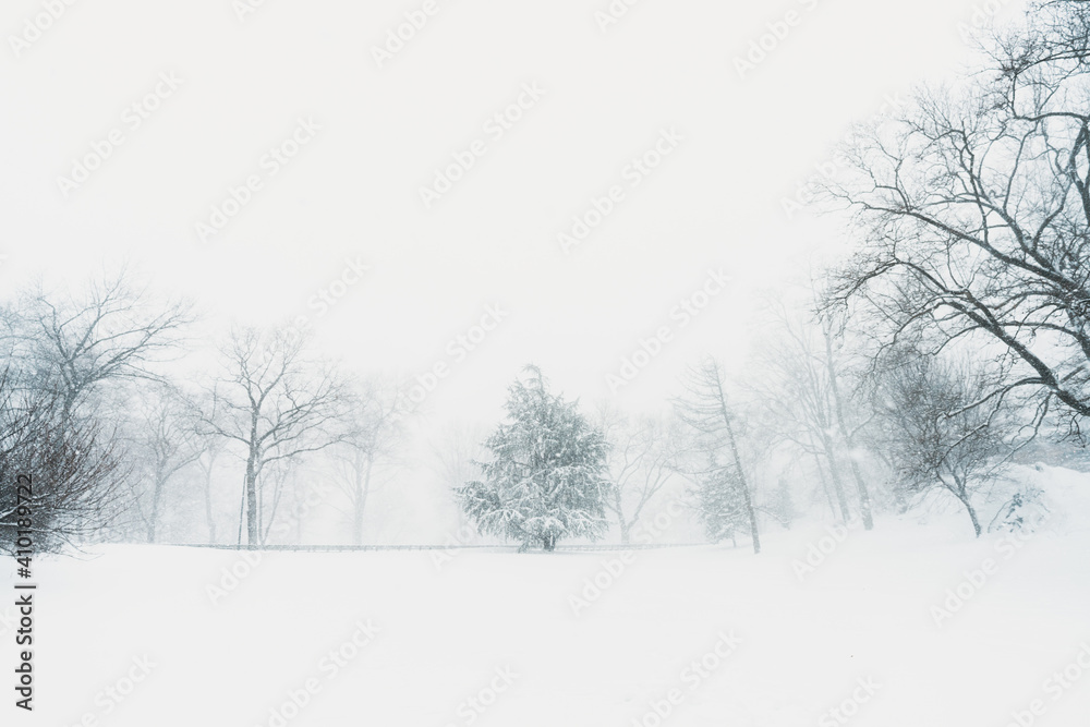 Obraz premium Central Park snow. Historic architecture in New York City Central Park. Beautiful bow bridge in Manhattan Central Park with snow flakes. Winter in NYC. Blizzard in New York City. 