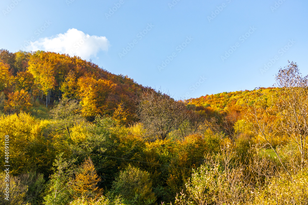 Autumn mountain landscape - yellowed and reddened autumn trees combined with green needles and blue skies. Colorful autumn landscape scene in the Ukrainian Carpathians.