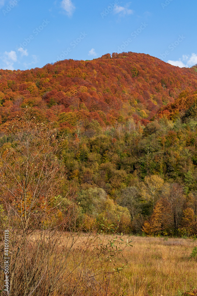 Autumn mountain landscape - yellowed and reddened autumn trees combined with green needles and blue skies. Colorful autumn landscape scene in the Ukrainian Carpathians. Autumn mountain landscape - yellowed and reddened autumn trees combined with green needles and blue skies. Colorful autumn landscape scene in the Ukrainian Carpathians.