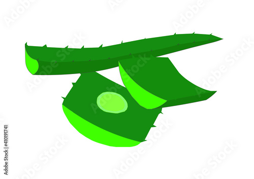 Fresh green Aloe Vera cut into pieces, placed on a white background