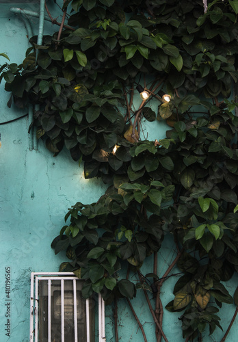 pared clásica con bombillos