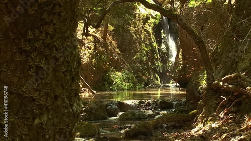 Rhodes Greece : The Valley of the Butterflies (Petaloudes in Greek). This is one of the most attractive destinations on the island. 