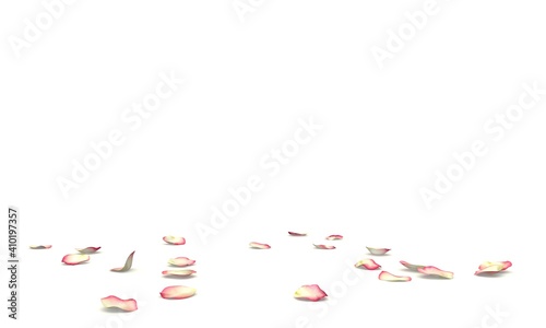The petals of a white rose with a red border lie on the floor