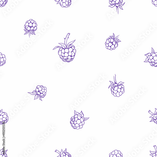 Violet blackberries outlines on white background pattern